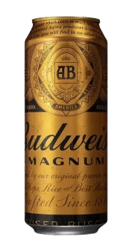 magnam